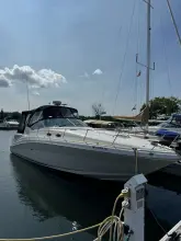 Thumbnail von Sea Ray 340 Sundancer