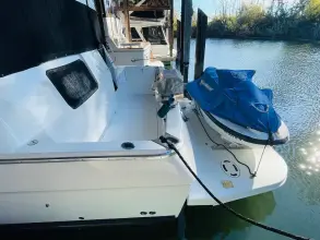 Thumbnail von Bayliner 4587 Motoryacht