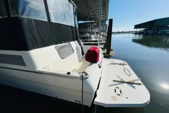Thumbnail von Bayliner 4587 Motoryacht