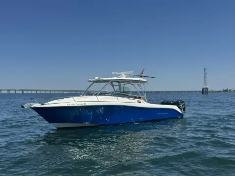 Hydra Sports 33 Vector