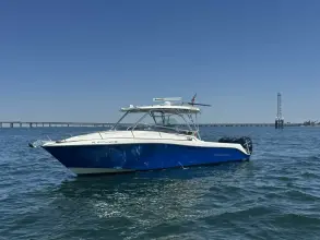 Hydra Sports 33 Vector