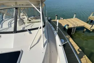 Thumbnail von Grady White Marlin 300 THE GREAT WHITE OTTER