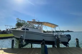 Thumbnail von Grady White Marlin 300 THE GREAT WHITE OTTER