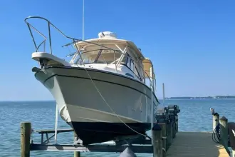 Thumbnail von Grady White Marlin 300 THE GREAT WHITE OTTER