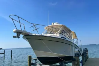 Thumbnail von Grady White Marlin 300 THE GREAT WHITE OTTER