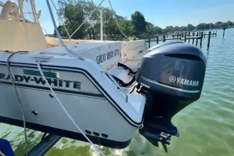 Thumbnail von Grady White Marlin 300 THE GREAT WHITE OTTER