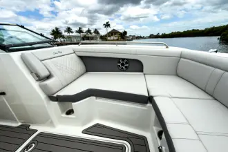 Thumbnail von Sea Ray SDX 290 Outboard