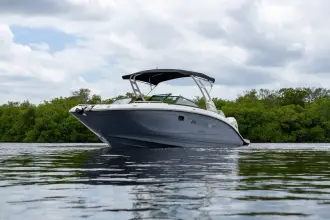 Thumbnail von Sea Ray SDX 290 Outboard
