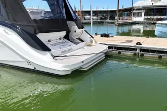 Thumbnail von Sea Ray 370 Sundancer