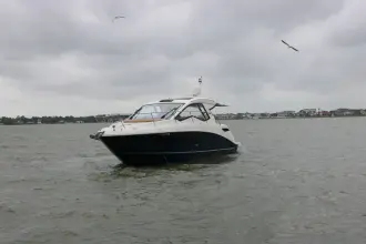 Thumbnail von Sea Ray SLX 350