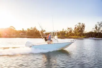 Thumbnail von Boston Whaler 210 Montauk