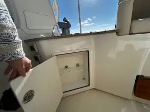 Thumbnail von Boston Whaler 350 Realm