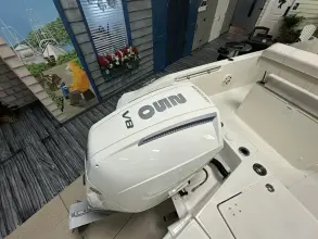 Thumbnail von Boston Whaler 220 Dauntless