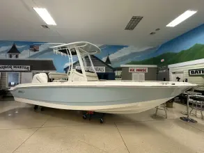 Thumbnail von Boston Whaler 220 Dauntless