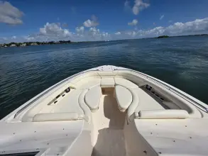 Thumbnail von Grady White Freedom 375 No Name
