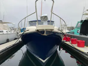 Thumbnail von Mainship 34 Pilot Ramble On