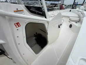 Thumbnail von Boston Whaler 250 Dauntless