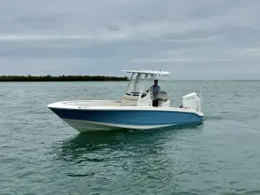 Thumbnail von Boston Whaler 250 Dauntless