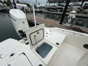 Thumbnail von Boston Whaler 250 Dauntless