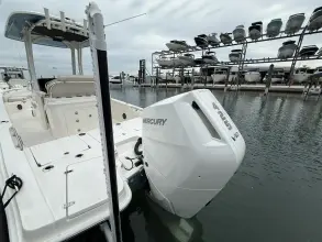Thumbnail von Boston Whaler 250 Dauntless