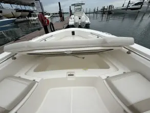 Thumbnail von Boston Whaler 250 Dauntless