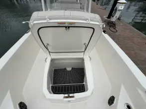 Thumbnail von Boston Whaler 250 Dauntless