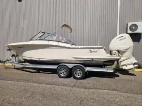 Scout 255 Dorado