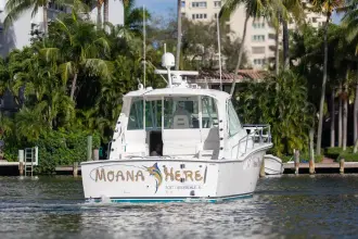 Thumbnail von Albemarle 360 Express Fisherman MOANA HERE