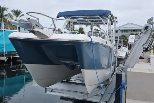 World Cat 255 DC