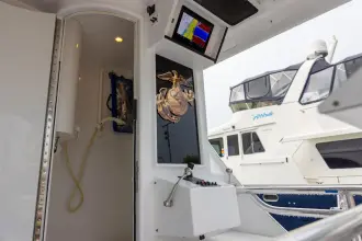 Thumbnail von Buddy Davis 78 Sport Fisherman