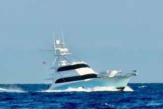 Thumbnail von Buddy Davis 78 Sport Fisherman