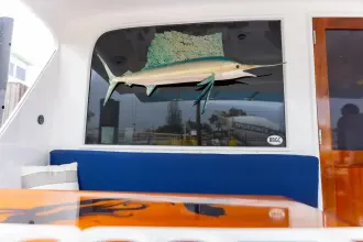 Thumbnail von Buddy Davis 78 Sport Fisherman