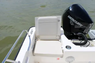 Thumbnail von Boston Whaler 210 Montauk