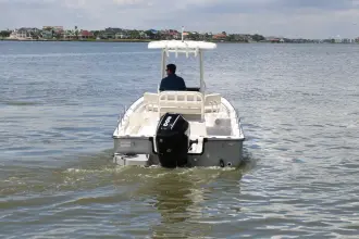 Thumbnail von Boston Whaler 210 Montauk