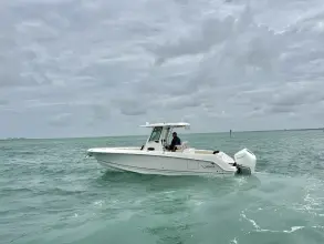 Thumbnail von Boston Whaler 280 Outrage