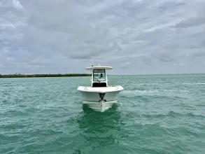 Thumbnail von Boston Whaler 280 Outrage