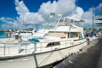 Thumbnail von Hatteras 58 Yacht Fish