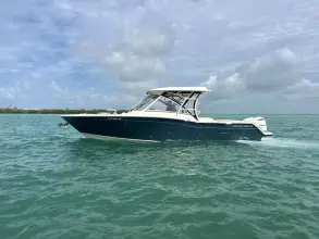 Grady White Freedom 325