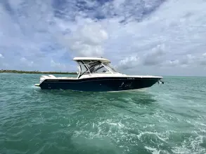 Thumbnail von Grady White Freedom 325