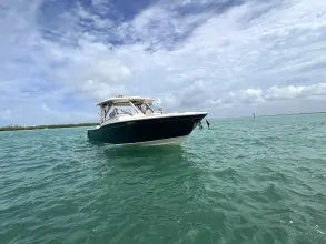Thumbnail von Grady White Freedom 325