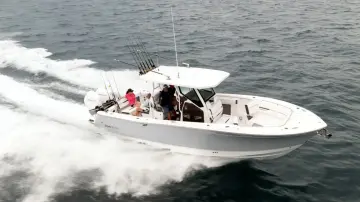 Blackfin 302 CC