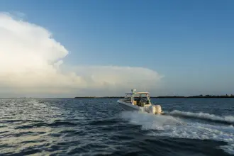 Thumbnail von Boston Whaler 280 Vantage