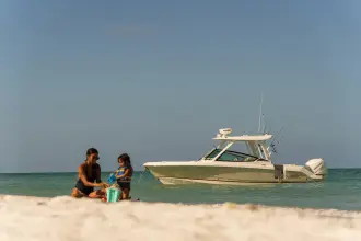 Thumbnail von Boston Whaler 280 Vantage