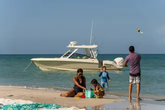 Thumbnail von Boston Whaler 280 Vantage
