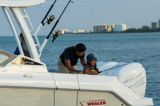 Thumbnail von Boston Whaler 280 Vantage