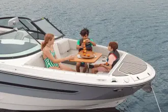 Thumbnail von Sea Ray SDX 270 Surf