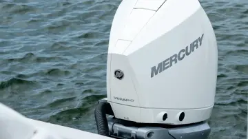 Thumbnail von Sea Ray SDX 230 Outboard