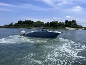 Sea Ray SDX 290 Outboard