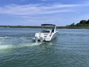 Thumbnail von Sea Ray SDX 290 Outboard