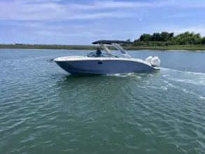 Thumbnail von Sea Ray SDX 290 Outboard